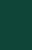 Цвет зелёный RAL 6005